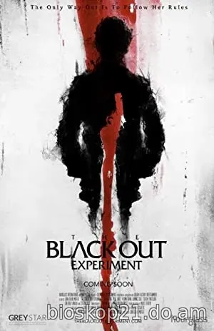 Nonton Film The Blackout Experiment (2021) Subtitle Indonesia